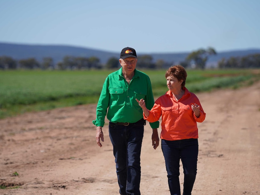 A man and a woman standing in front of a green rice crop smiling.