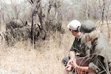 Travellers crouch down and watch a group of snoozing rhinos.