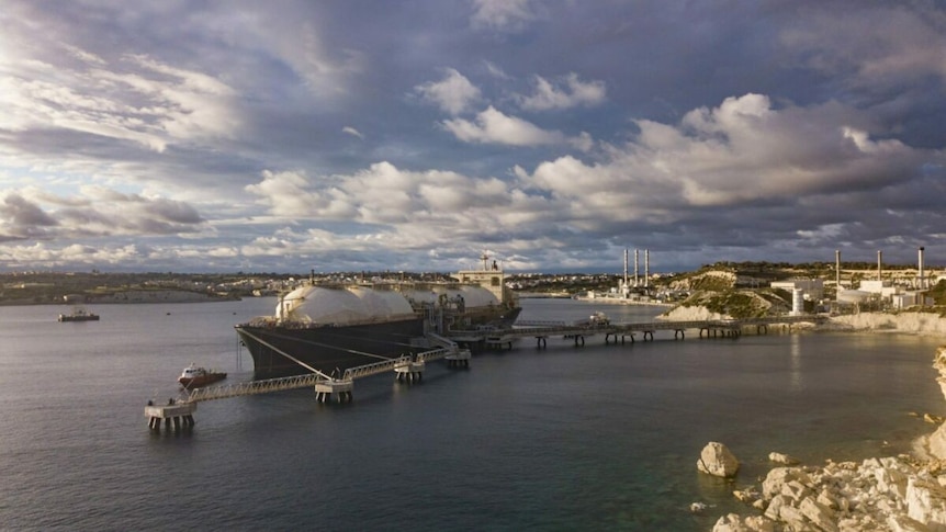 Andrew Forrests Squadron Energy zieht stillschweigend Pläne für das Gaskraftwerk Port Kembla zurück