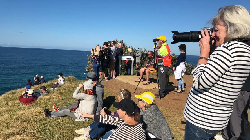 Whale watchers on Tacking Point Lighthouse in Port Macquarie