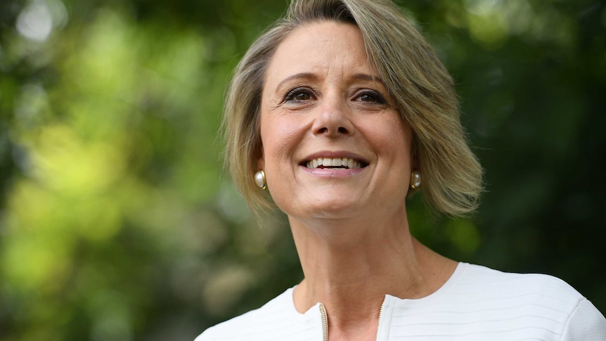 Kristina Keneally addresses media at Eastwood in Sydney.