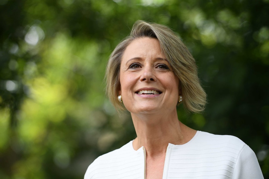 Kristina Keneally addresses media at Eastwood in Sydney.