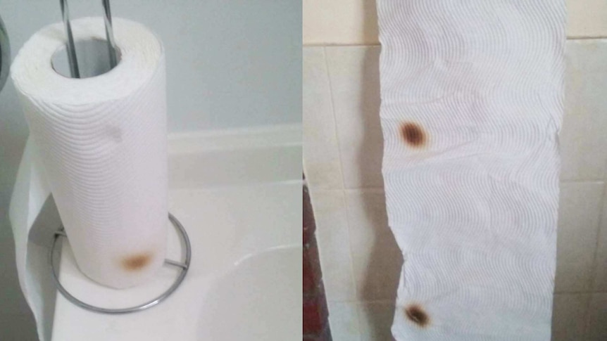 A roll of paper towel with a dark brown scorch mark sits on a white bathroom vanity.