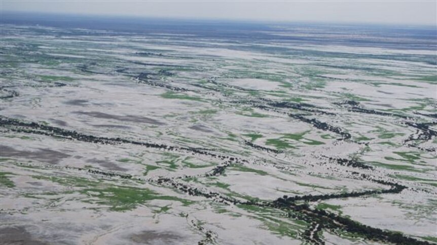 Birdsville floods: Diamantina Goyder