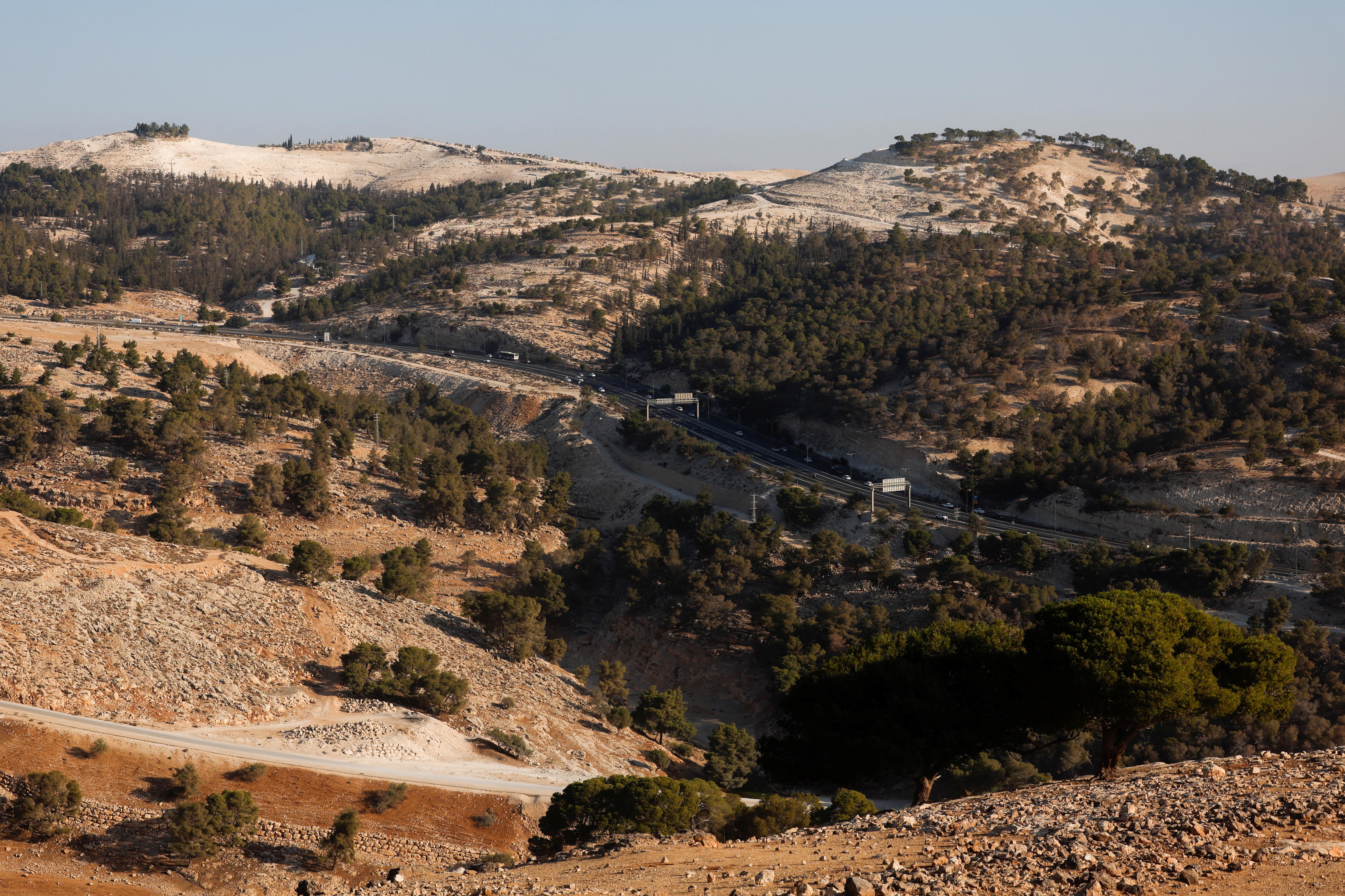 Saley hills dotted with trees