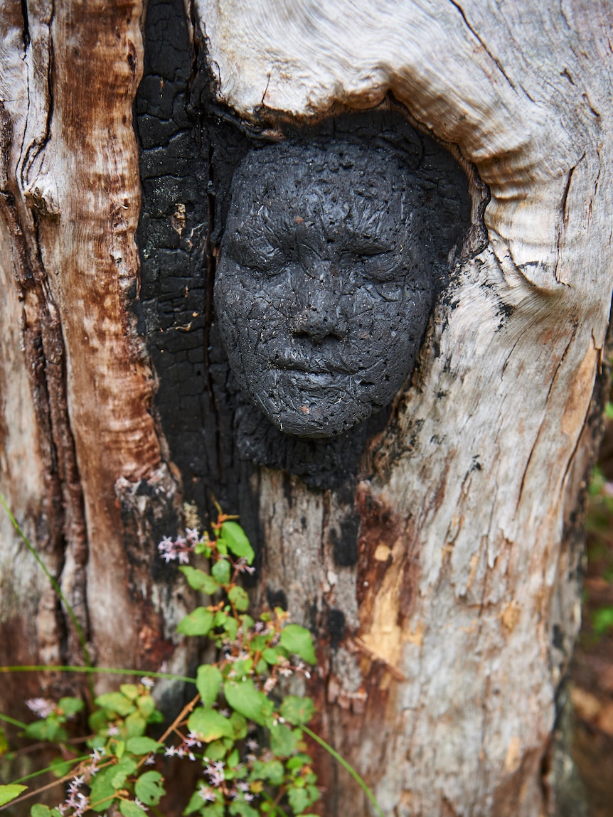 A face is carved into a tree on the Understory, Art in Nature walk in WA.