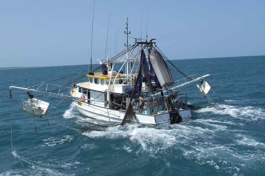 A prawn trailer sails in open water.