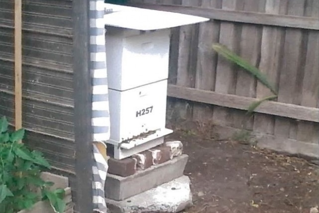 A large white beehive