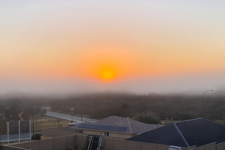 Fog below the rising sun over the Perth Hills with houses and yards in the foreground.