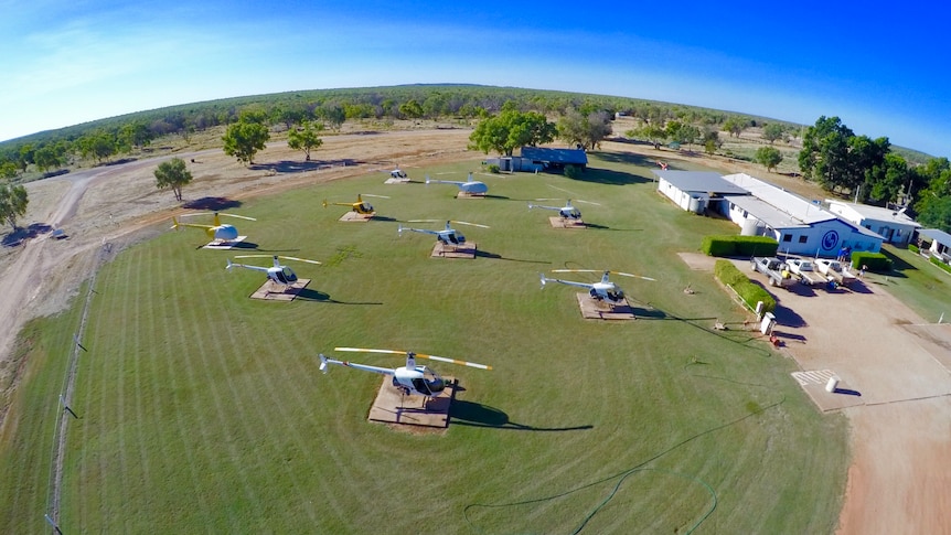 Nearly 10 helicopters sit idle on a green paddock next to a building