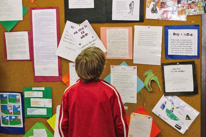 Child looks at school noticeboard
