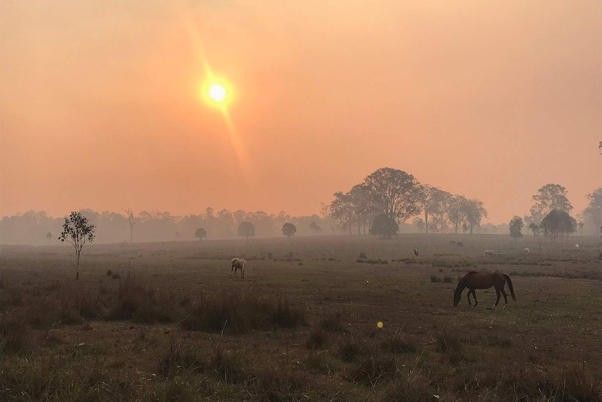 The fire haze at Baffle Creek in central Queensland