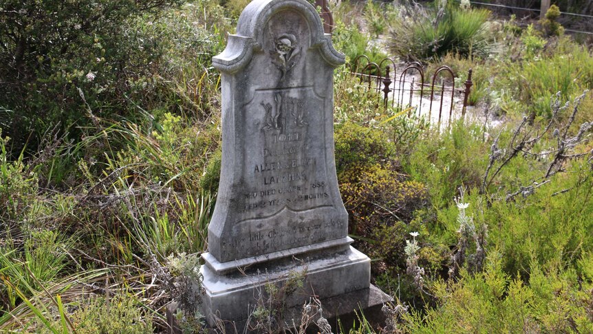 The gravestone of two year old Iole Lakeman, who died from smallpoz in 1888.