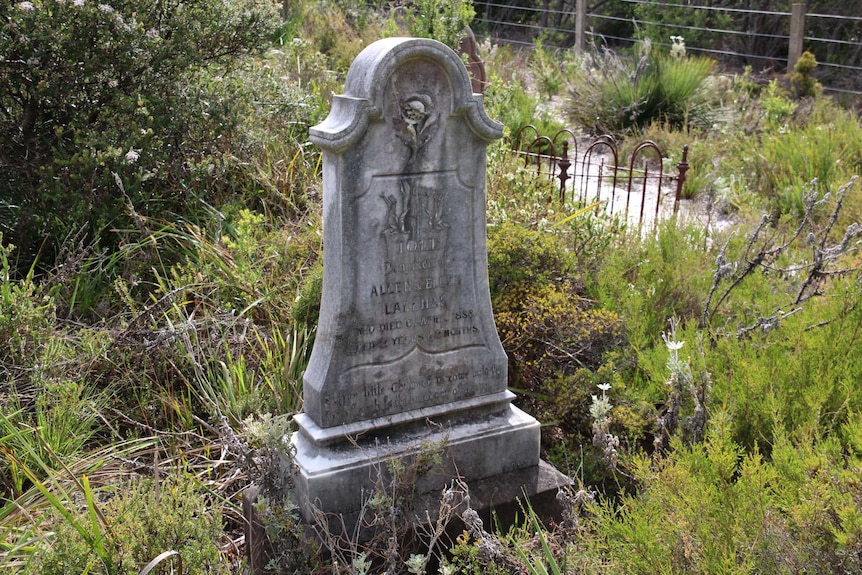 The gravestone of two year old Iole Lakeman, who died from smallpoz in 1888.