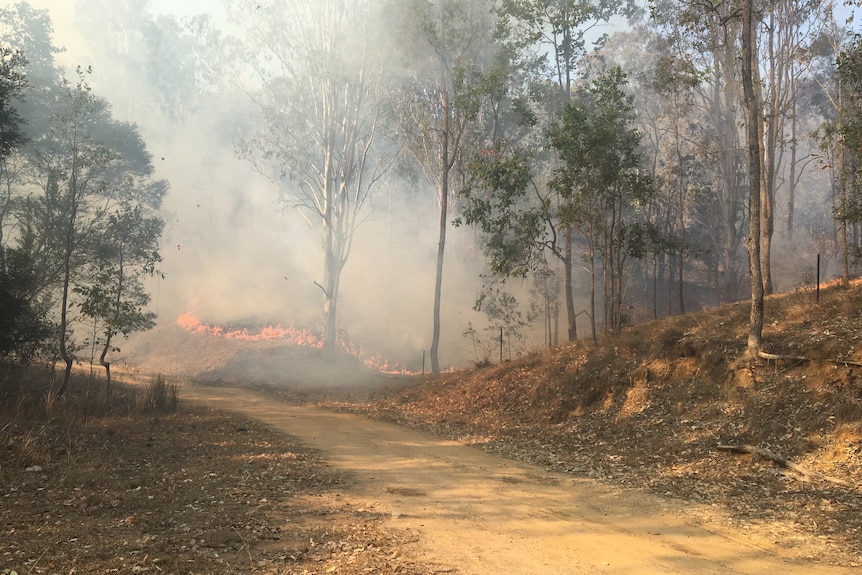 A fire burns in bushland, with heavy smoke coming through the trees.