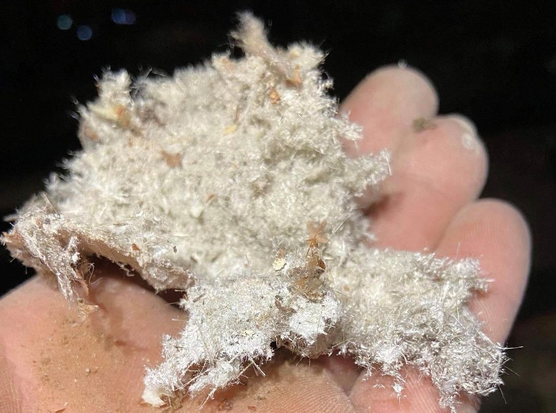 A hand holding loose-fill asbestos.