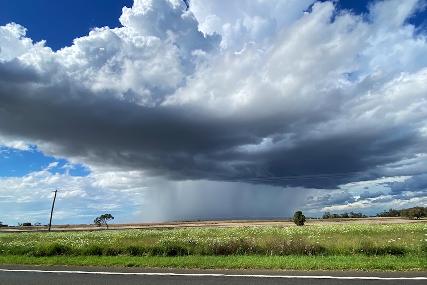 A storm cloud over a paddock