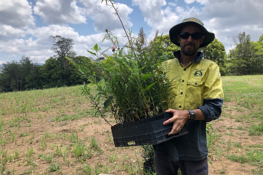 Aaron Brunton holding a tray full of young native plants.