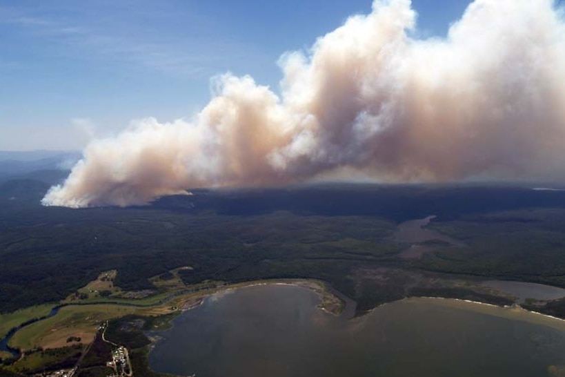 Smoke rising from a bushfire.