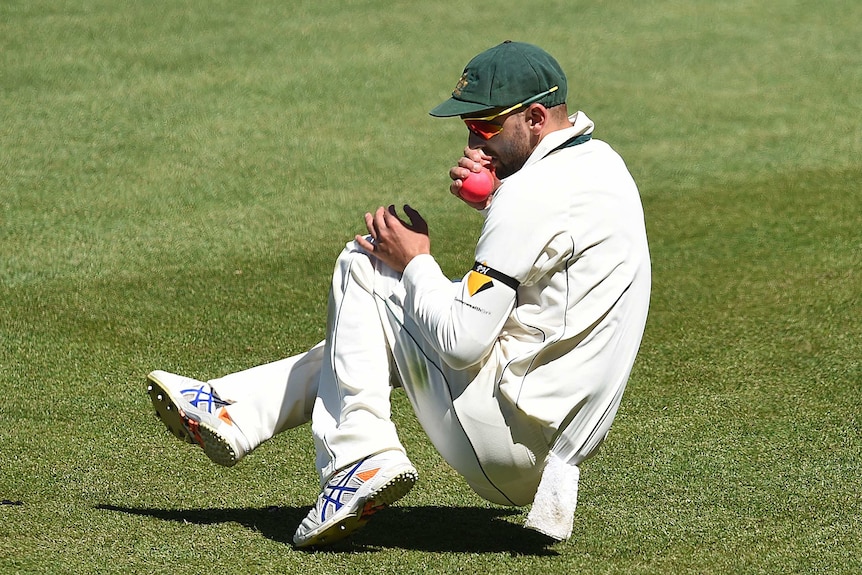 Nathan Lyon catches Tim Southee