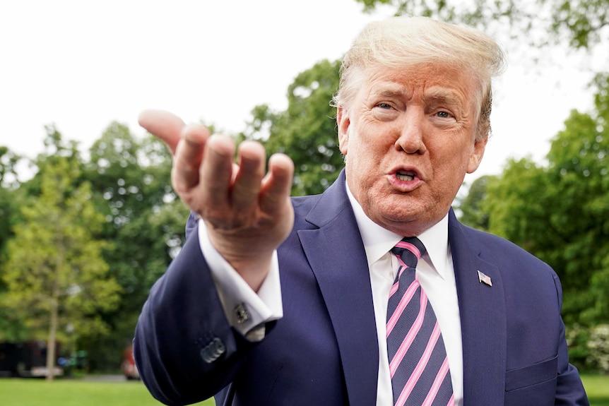 Donald Trump gesturing while standing on the White House lawn