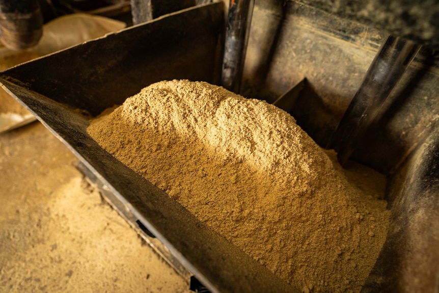 Image of yellow powder in a bucket.