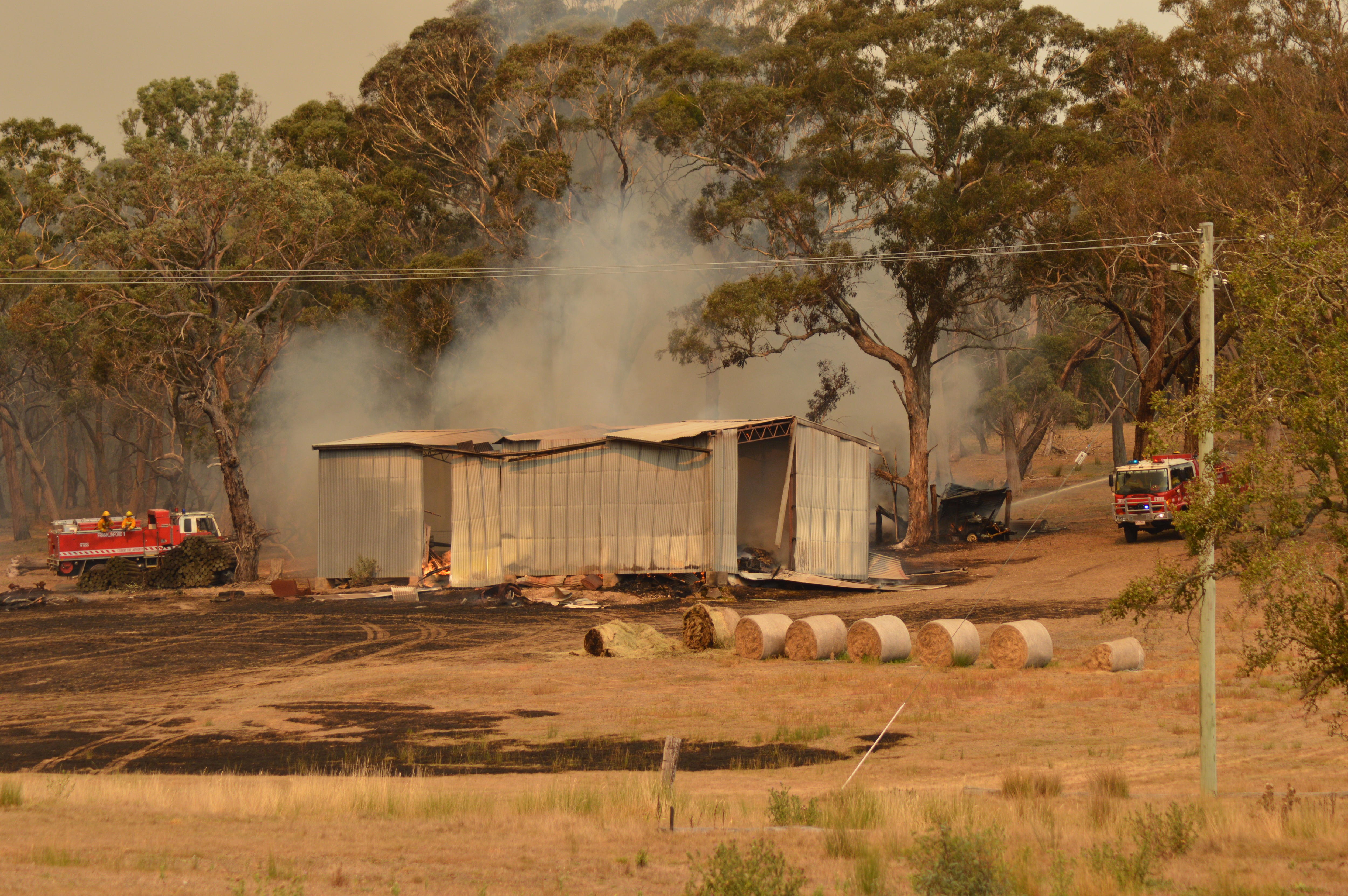 Two fire trucks are parked near a corrugated iron shed which has white smoke rising behind it among trees and brown grass.