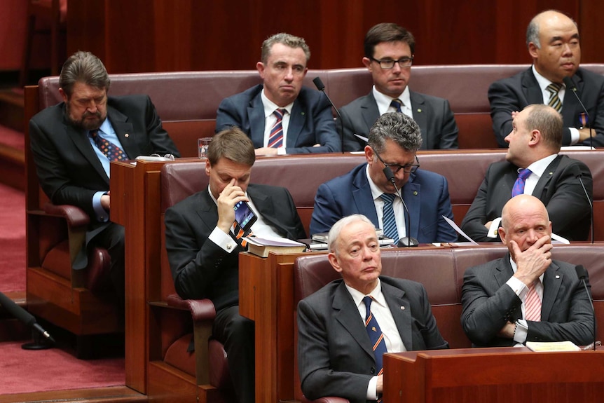 Senator Derryn Hench fast asleep in the back row of Parliament, surrounded by eight other bored looking — but awake — Senators.