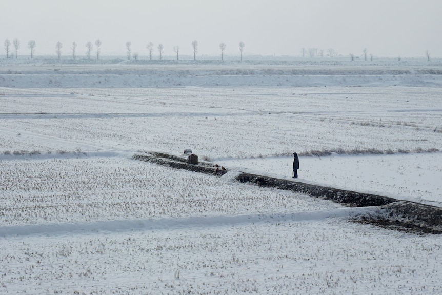 Man stands in field covered with snow.