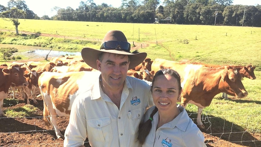 Couple in front of cows.