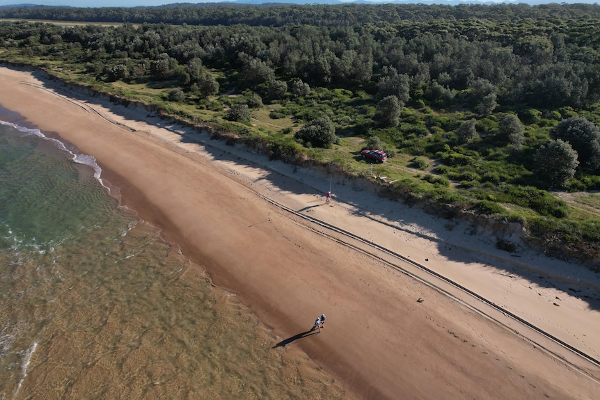 A drone shot of a coastal geographer taking measurements with a large stick on a beach.