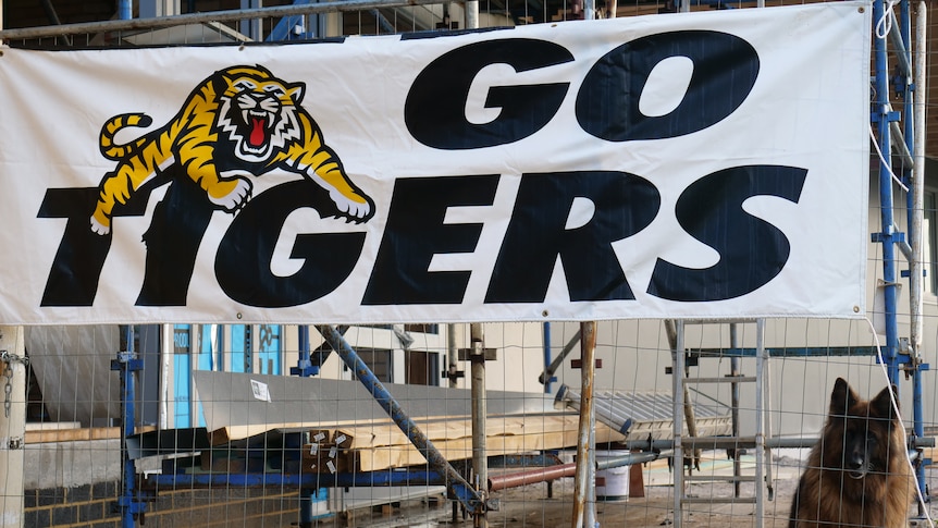 Scaffolding with a sign saying "Go Tigers" over fencing.