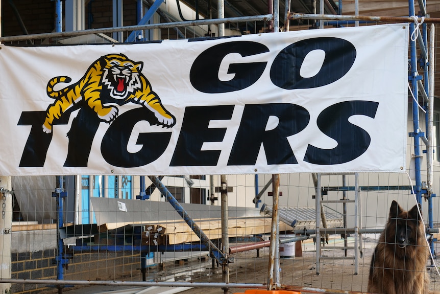 Scaffolding with a sign saying "Go Tigers" over fencing.