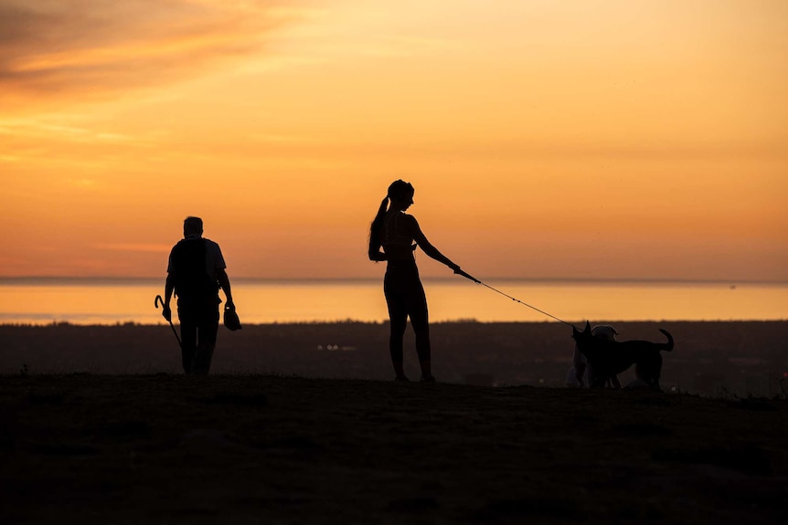 A woman holding dogs on a leash and man with an umbrella walk before a sunset with the city behind them.