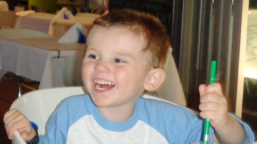 A neighbour claims he saw William Tyrrell inquest neighbour