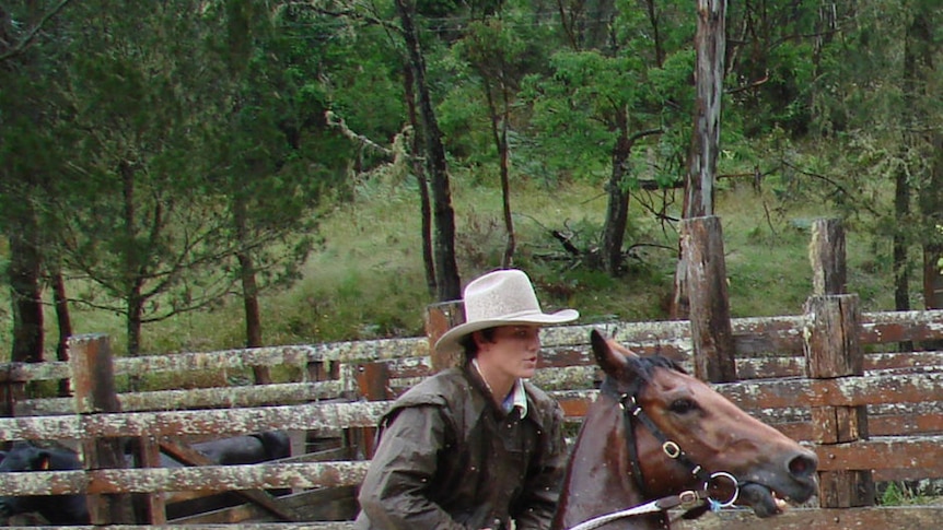 Muddy horse and rider.