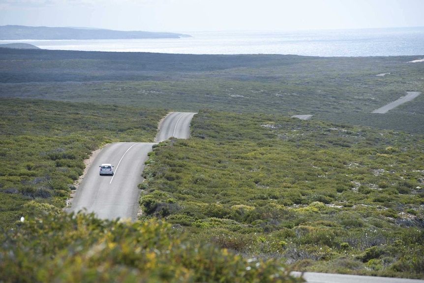 a car drives on a winding road in low scrub