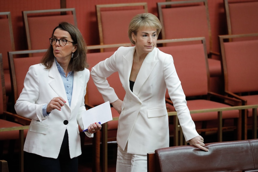 Anne Ruston and Michaelia Cash standing in the Senate.