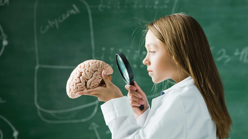 Girl in a labcoat holding a magnifying glass up to the model of a brain she is holding