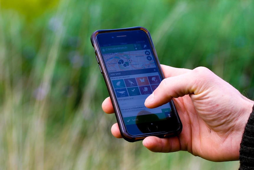 a phone showing the climate watch app is held in a hand.