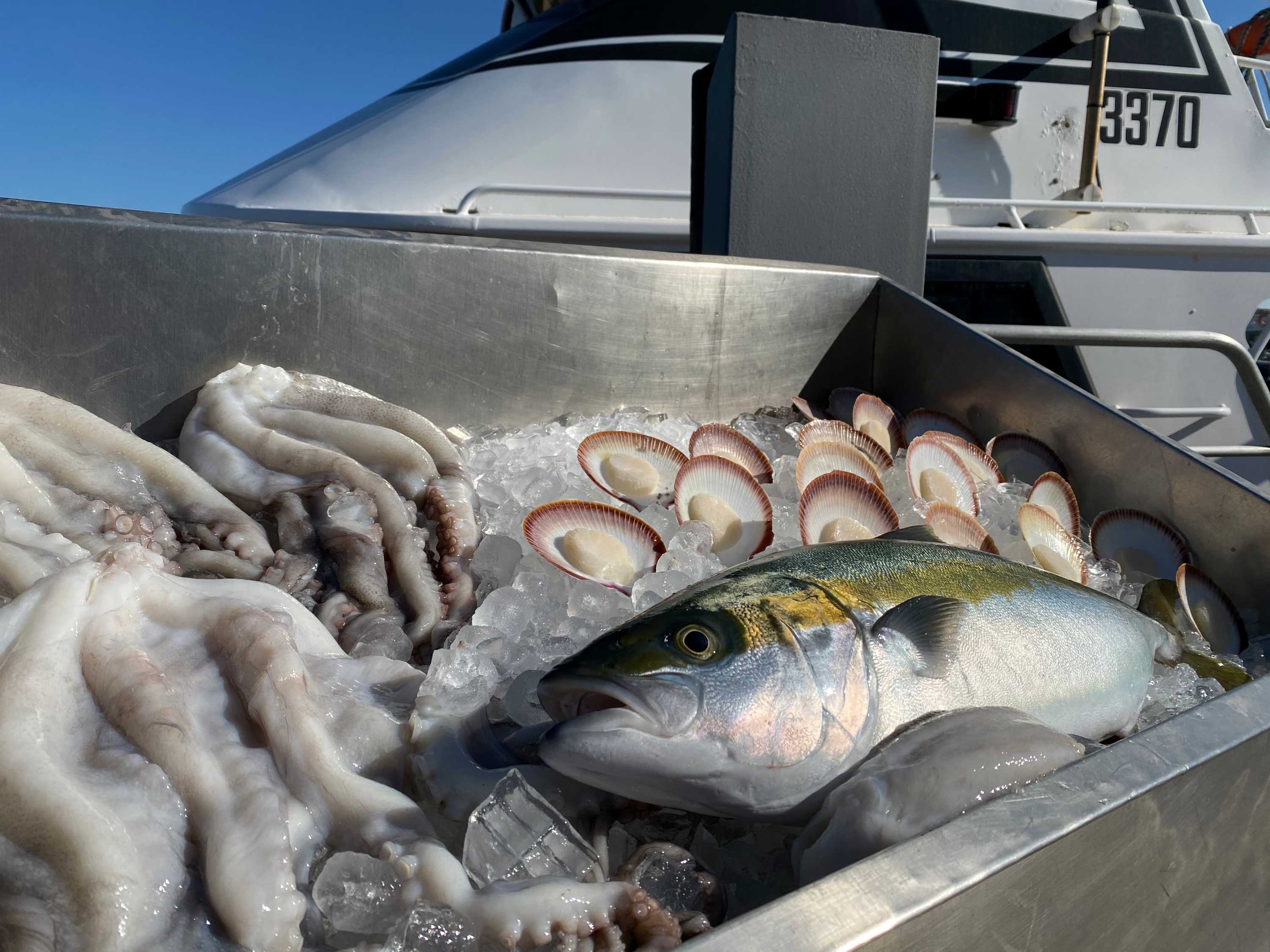 Awardwinning Geraldton producers improve region's reputation as