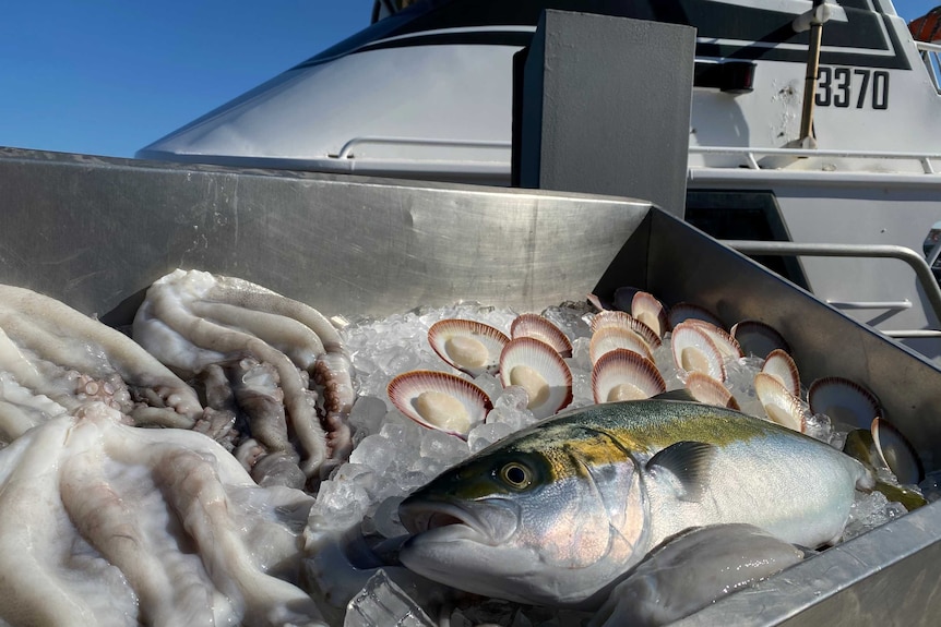 Geraldton's diverse seafood produce recognised