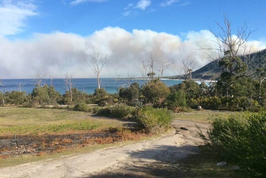 Smoke plume over coast line.