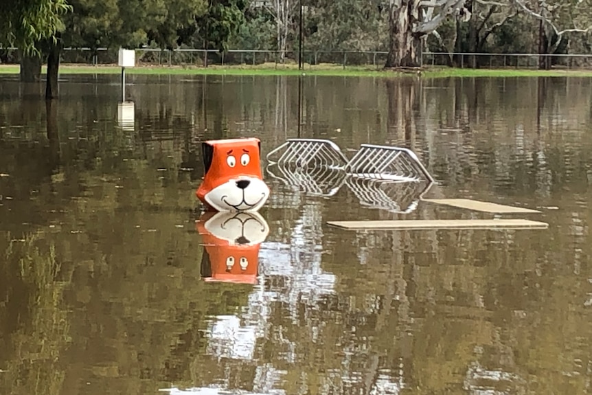 The Yogi statue is covered with water up to his chin when the Ovens River in Wangaratta flooded earlier in 2023.