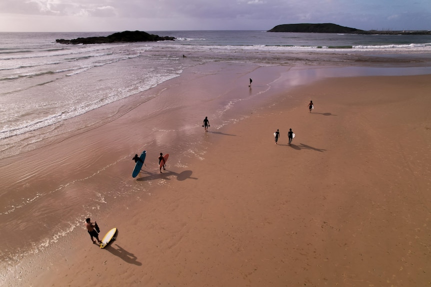Surfers holding boards walk along a beach viewed from the air