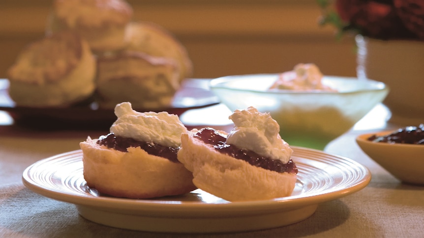 Scones on a plate with jam and cream in focus.