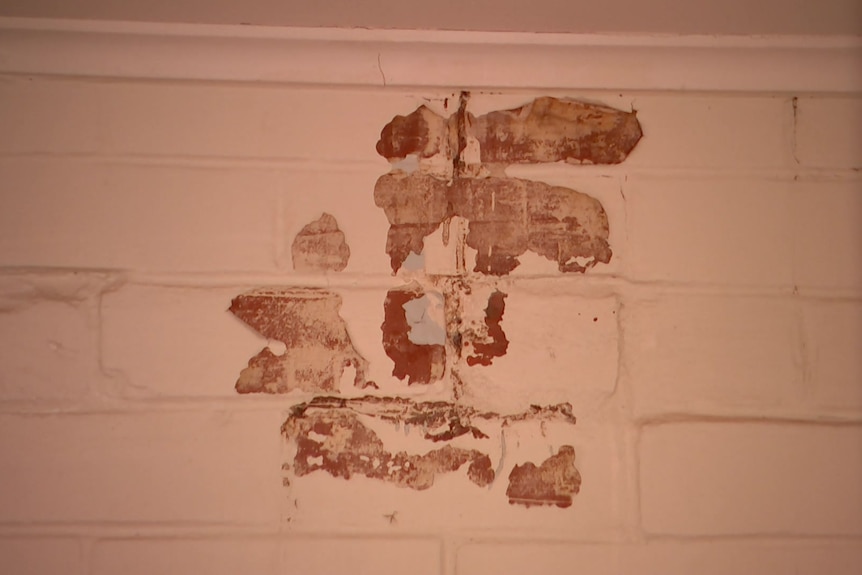 Exposed bricks in a cream-coloured painted brick wall