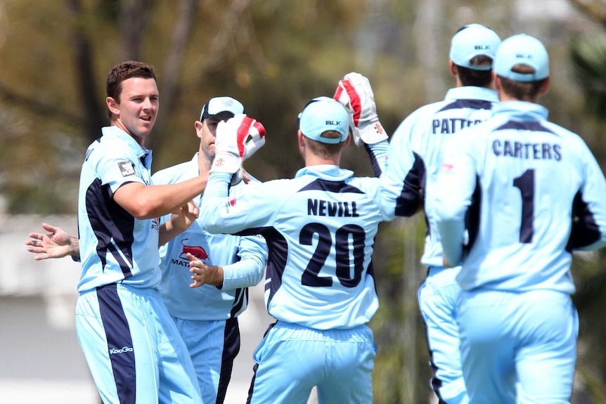 New South Wales celebrate a wicket at Allen Border Field