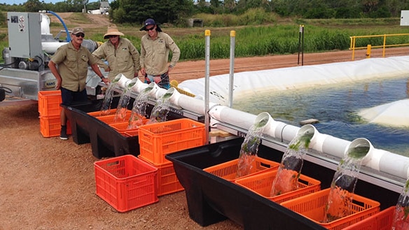 MBD uses algae technology to clean water.jpg