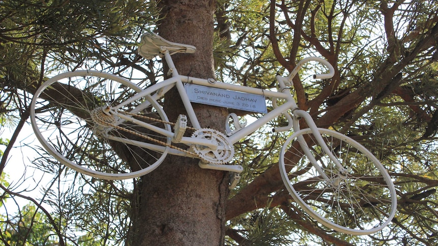 A white painted bike on a tree